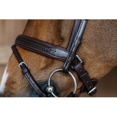 Geflochtenes Kombiniertes Reithalfter mit Pull Pack Dy'on New English Collection Geflochtenes Kombiniertes Reithalfter mit Pull Pack Dy'on New English Collection