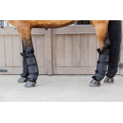 PROtect Classic Hintere Stallgamaschen Kentucky Schwarz PROtect Classic Hintere Stallgamaschen Kentucky Schwarz