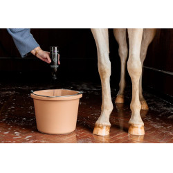 Lila Shampoo mit Mandel Grooming Deluxe von Kentucky