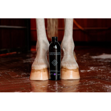 Lila Shampoo mit Mandel Grooming Deluxe von Kentucky Lila Shampoo mit Mandel Grooming Deluxe von Kentucky