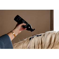 Lila Shampoo mit Mandel Grooming Deluxe von Kentucky