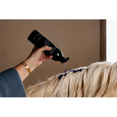 Lila Shampoo mit Mandel Grooming Deluxe von Kentucky Lila Shampoo mit Mandel Grooming Deluxe von Kentucky
