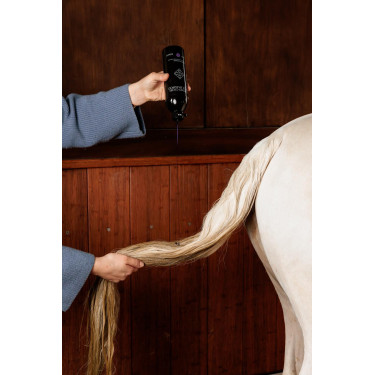 Lila Shampoo mit Mandel Grooming Deluxe von Kentucky Lila Shampoo mit Mandel Grooming Deluxe von Kentucky
