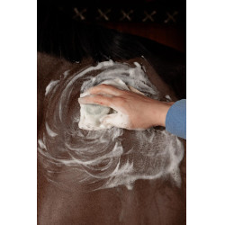 Festes Shampoo Grooming Deluxe von Kentucky Mandel Braun