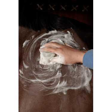 Festes Shampoo Grooming Deluxe von Kentucky Festes Shampoo Grooming Deluxe von Kentucky
