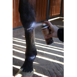 Zink-Spray Grooming Deluxe von Kentucky