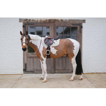 Kentucky Schabracke Melange Jumping Beige Kentucky Schabracke Melange Jumping Beige
