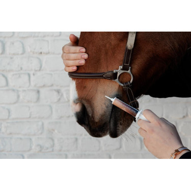 Vitamin-Booster Vital Grooming Deluxe von Kentucky Vitamin-Booster Vital Grooming Deluxe von Kentucky