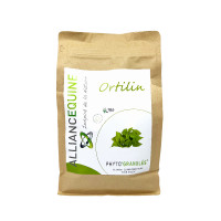 Ortilin Allianz Equine