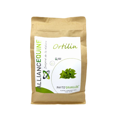 Ortilin Allianz Equine
