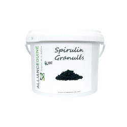 Spirulin Granulat Alliance Equine