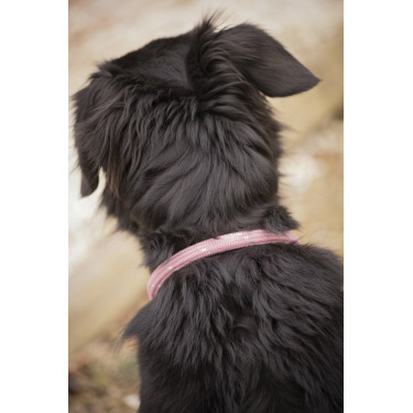 Halsband für Hunde Penelope Billie Halsband für Hunde Penelope Billie