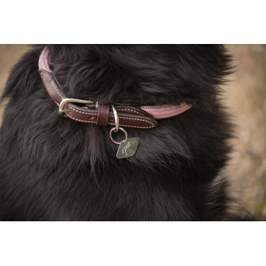 Halsband für Hunde Penelope Billie Halsband für Hunde Penelope Billie
