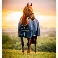 Amigo Ripstop Horseware 900D Turnout-Decke 0g Marine Witney Marineblau