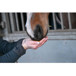 Natural'Immune Natural'Innov Natural'Immune Natural'Innov