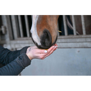 Natural'Immune Natural'Innov Natural'Immune Natural'Innov