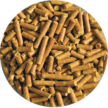 Natural'Immune Natural'Innov Natural'Immune Natural'Innov