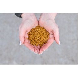 Natural'Immune Natural'Innov Natural'Immune Natural'Innov