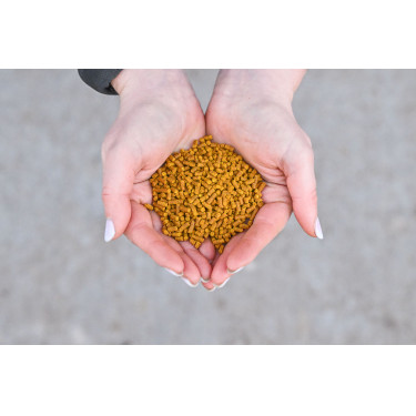 Natural'Immune Natural'Innov Natural'Immune Natural'Innov