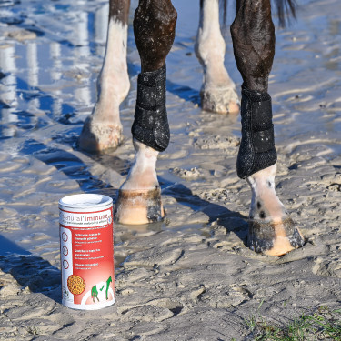 Natural'Immune Natural'Innov Natural'Immune Natural'Innov