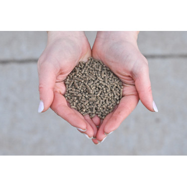 Natural'Breath Natural'Innov