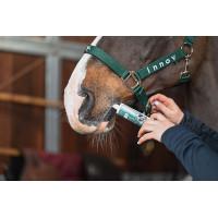 Natural'Digest Flash Natural'Innov