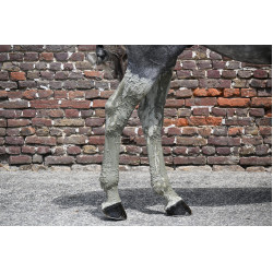 Natural'Recup Natural'Innov