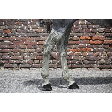 Natural'Recup Natural'Innov