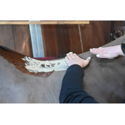 Natural'Komfort Natural'Innov