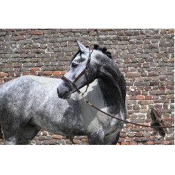 Natural'Komfort Natural'Innov