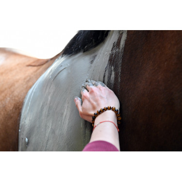 Natural'Komfort Natural'Innov