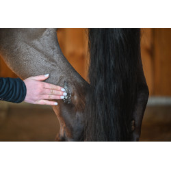 Natural'Balm Natural'Innov