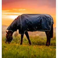 Horseware Amigo Ripstop 900D Plus Poney Turnout 200g Decke Marine Witney Marineblau