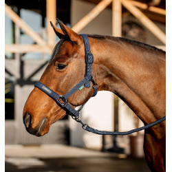 Halfter und Führstrick Amigo Horseware Marine Marineblau Halfter und Führstrick Amigo Horseware Marine Marineblau