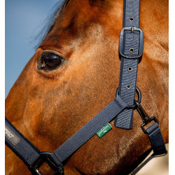 Halfter und Führstrick Amigo Horseware Marine Marineblau Halfter und Führstrick Amigo Horseware Marine Marineblau