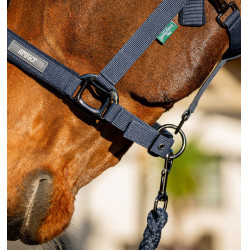 Halfter und Führstrick Amigo Horseware Marine Marineblau Halfter und Führstrick Amigo Horseware Marine Marineblau