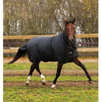 Horseware Trot Plus Decke mit Halsteil 350g Schwarz / schwarz / braun