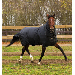 Horseware Trot Plus Decke mit Halsteil 350g Horseware Trot Plus Decke mit Halsteil 350g