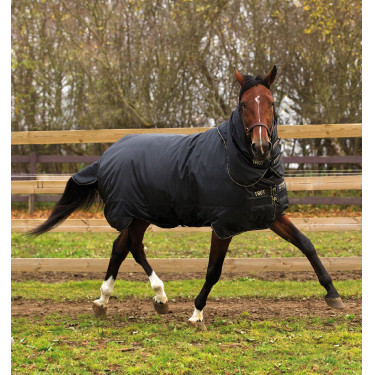 Horseware Trot Plus Decke mit Halsteil 350g Horseware Trot Plus Decke mit Halsteil 350g