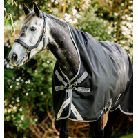 Pferdedecke Horseware Amigo Bravo 12 Wug 400g Sturmgrün / Türkis Grün Pferdedecke Horseware Amigo Bravo 12 Wug 400g Sturmgrün / Türkis Grün