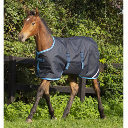 Fohlen-Decke Horseware Amigo Ripstop Foal 50g Fohlen-Decke Horseware Amigo Ripstop Foal 50g