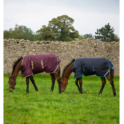 Fohlen-Decke Horseware Amigo Ripstop Foal 50g Fohlen-Decke Horseware Amigo Ripstop Foal 50g