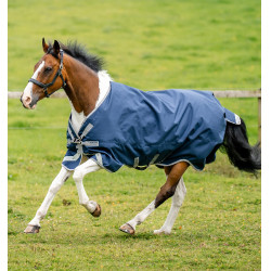 Horseware Amigo Bravo 12 XL 250g Decke Horseware Amigo Bravo 12 XL 250g Decke