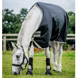 Horseware Amigo Bravo 12 50g Turnout-Decke Schwarz / Titan Grau / Silber Horseware Amigo Bravo 12 50g Turnout-Decke Schwarz / Titan Grau / Silber