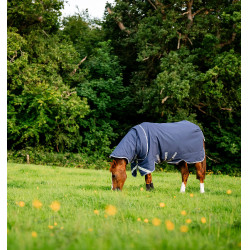 Pferdedecke Horseware Rhino Plus Vari-Layer 450g Schwarz / Titan Grau / Klassisches Blau Pferdedecke Horseware Rhino Plus Vari-Layer 450g Schwarz / Titan Grau / Klassisches Blau