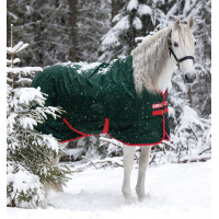 Außendecke Horseware Rambo Original 400g Grün / Rot Grün Außendecke Horseware Rambo Original 400g Grün / Rot Grün