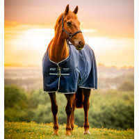 Horseware Amigo Ripstop 900D Poney Turnout 100g Decke Schwarz / Klassisches Blau