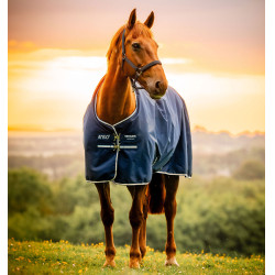 Horseware Amigo Ripstop 900D Poney Turnout 100g Decke Marine Witney Marineblau