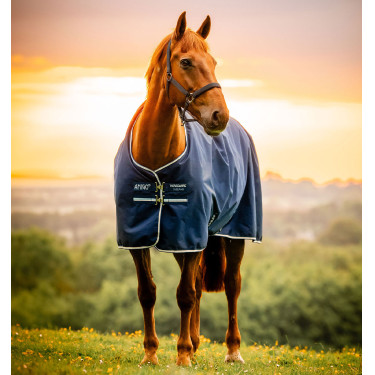 Horseware Amigo Ripstop 900D Poney Turnout 100g Decke Marine Witney Marineblau