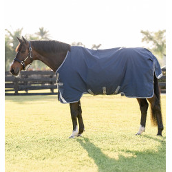 Horseware Rhino Turnout 0g Decke
